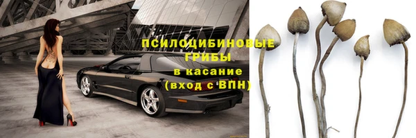 прущие крисы Богданович